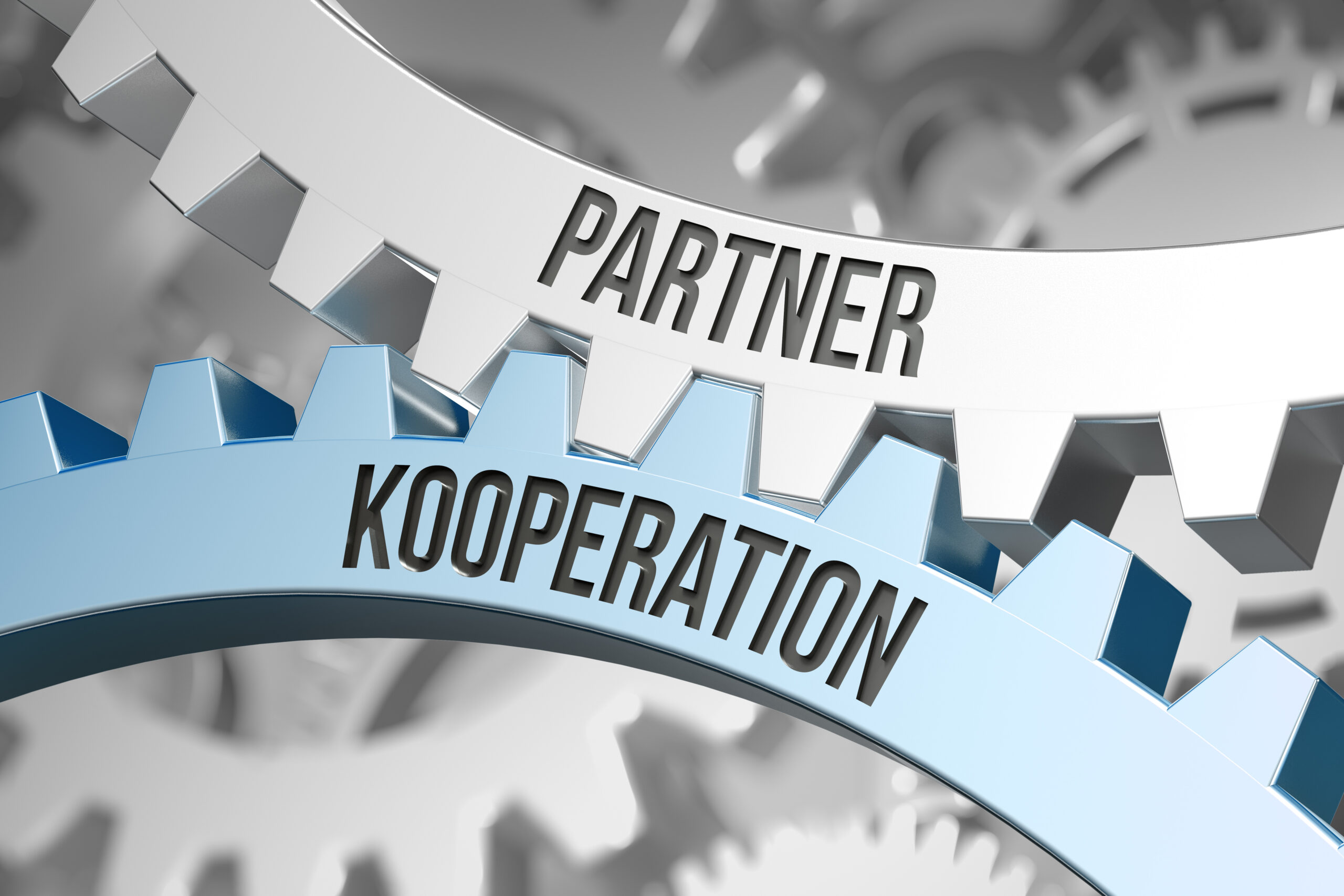 kompetente Partner - starke Kooperationen